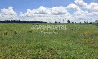 Imagem: Fazenda no Pará - Santa Maria - 312 ha
