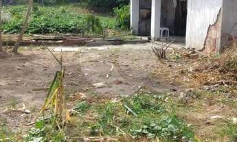 Imagem 4: Magnífico terreno, juntinho a Rua Barreiros