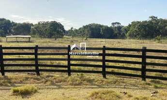 Imagem: Fazenda á venda município de Livramento
