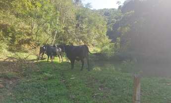 Imagem 4: Sítio em Nova Iguaçu-Adrianópolis