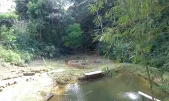 Imagem 4: Chácara a venda