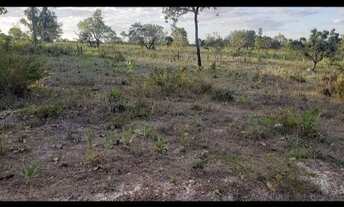 Imagem 4: Vendo lotes no lago Serra da mesa