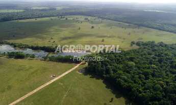 Imagem 3: Fazenda no Pará - Castanhal - 633 ha (131 alq