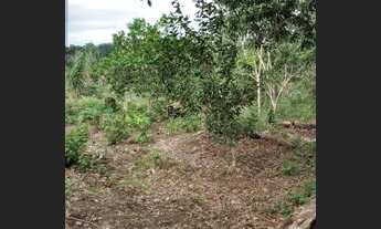 Imagem 2: Vendo terreno Terreno / lote com venda por R$7.500