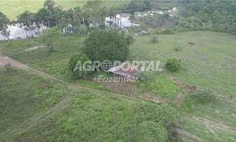 Imagem 7: Fazenda no Pará - Acará - 323 ha (66 alq