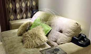 Imagem 4: Apartamento a venda com 2 quartos, Ed Prix , Próximo da estação e shopping tiete - Piritub