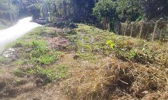 Imagem 6: Terreno À Venda - Com Projeto Aprovado - Terra Preta - Mairiporã/SP