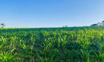 Imagem 6: Terrenos com a oferta Imperdível próximo ao Centro de Ibiúna SP