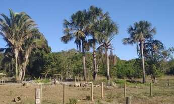 Imagem: Excelente Chácara de 10 Hectares na Taquara
