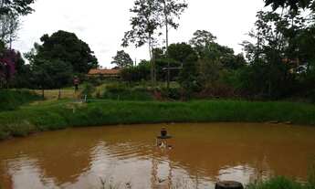 Imagem 5: Sítio/Chácara 05 alqueires Pérola no Pr a 3 km da cidade ótima localização