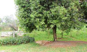 Imagem 6: Casa residencial à venda, Chapéu do Sol, Porto Alegre