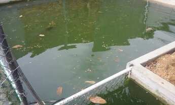 Imagem 5: Chácara no Iranduba