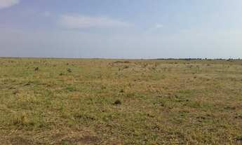 Imagem 6: Fazenda 1600 hectares ribeirao cascalheira