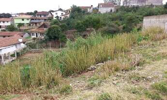 Imagem 3: CAMPO LARGO - Terreno Padrão - CENTRO