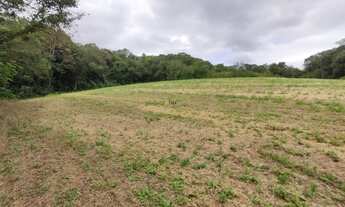 Imagem 3: CAMPO LARGO - Chácara - BOTIATUVA