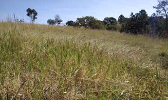 Imagem 7: Sítio 35 Hectares - Município de Santo Antônio do Desc. GO