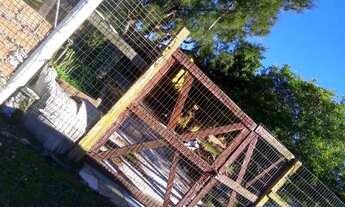 Imagem 2: Vende se casa em Pinhal