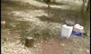 Imagem 2: Vende-se Chácara em Pardinho/SP