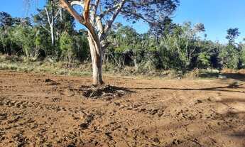 Imagem 3: Mine sítio em Coqueiros de Arembepe