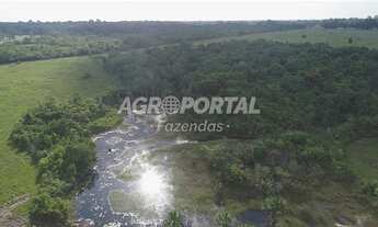 Imagem 5: Fazenda no Pará - Acará - 323 ha (66 alq
