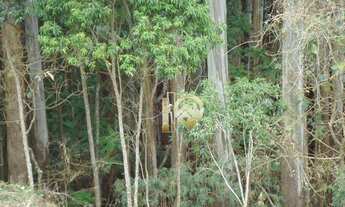 Imagem 6: Área rural à venda, Centro, Gonçalves-MG