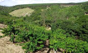 Imagem 2: Terra Produzindo em São Mateus- Faço parcelamento anual