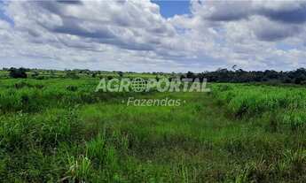 Imagem 11: Fazenda no Pará - Santa Maria - 312 ha (64 alq