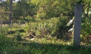 Imagem 4: Porto Alegre - Terreno Padrão - Lageado