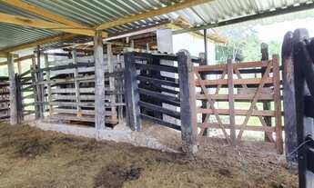 Imagem 3: Fazenda linda São Felipe 305 tarefas Com Rio Cortando Clima solos Pecuária Porteira Fechad