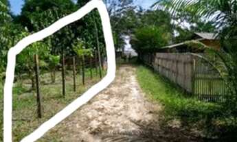 Imagem: Terreno em cutijuba