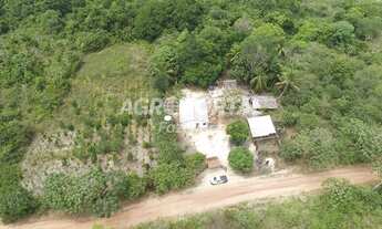 Imagem: Fazenda no Pará - Tailândia - 49 ha (10