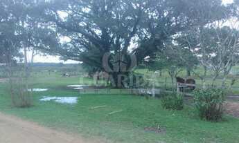 Imagem: Terreno para comprar no bairro Aberta dos