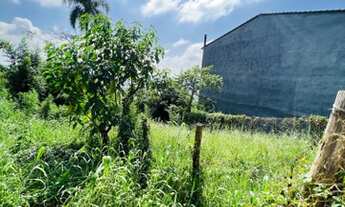 Imagem 5: Lindo Terreno em Barueri bairro Ribeiro de lima 136 metros na melhor rua do bairro