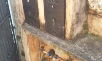 Imagem 2: TERRENO à venda, Vila Bela - São Paulo/SP