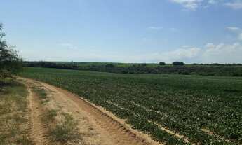 Imagem 4: FAZENDA COM 48 ALQUEIRES REGIÃO DE BASTOS-SP