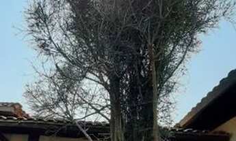 Imagem 2: Campo Limpo Paulista - Casa Padrão - Vila Tavares