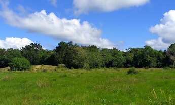 Imagem: Vendo e troco