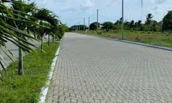 Imagem 5: Loteamento Gold Pecem Pronto Para Construir A Sua Casa Venha Para Esse Paraiso Com Parcela