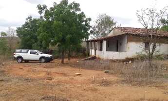 Imagem 6: Fazenda entre Paramoti e General Sampaio - 250ha. Oportunidade!