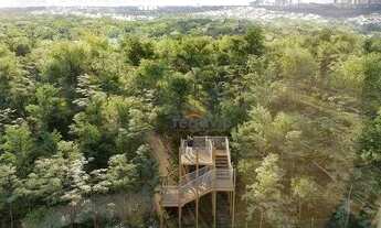 Imagem 2: Plateau Dor Unique 689 m² bem localizado