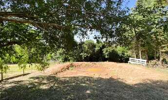 Imagem 5: Vendo um Sítio com riacho 100 metros da RS 020