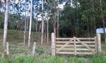 Imagem 5: Sítio com 13 alqueires em jacutinga MG