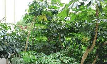 Imagem 5: Apartamento para Aluguel - Butantã, 2 Quartos, 57 m2