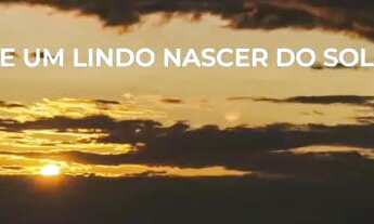 Imagem 2: Aluga área com 110.000 m2 toda murada próximo a Go-060