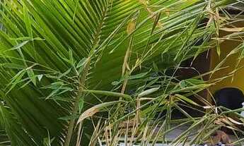 Imagem 6: Espaço para festa com piscina área de churrasco , junto com a casa