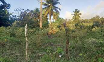 Imagem: Terreno 12x30 em Lagoa do Sítio Macaíba