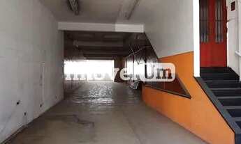 Imagem: Mirandópolis