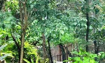 Imagem 5: Brumadinho - Casa Padrão - Casa Branca