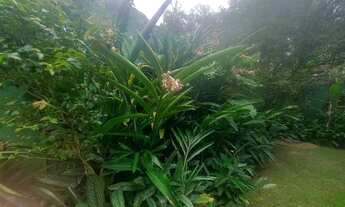 Imagem 3: São Sebastião - Casa Padrão - Praia de Maresias