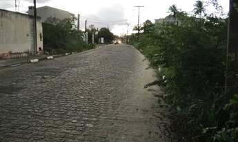 Imagem 3: Terreno Próximo da Noide